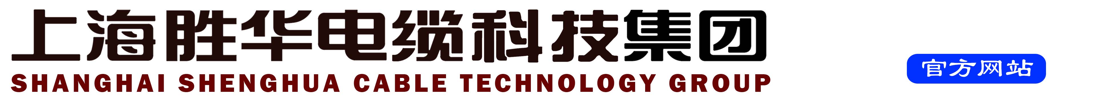 上海亚洲AV永久无码精品无码蜜桃蜜桃视频网在线观看成人网站科技字  体